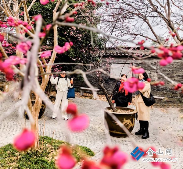 downLoad-20260119071327