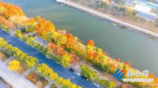 01948af29111d3340c5e3515f923c1b7e5.jpg@MaM0CSWVN-XuoAbkCFYJUfziCrZWBbZX8or3OANWB40@rs_fill_720_0@g_sm@q_75@