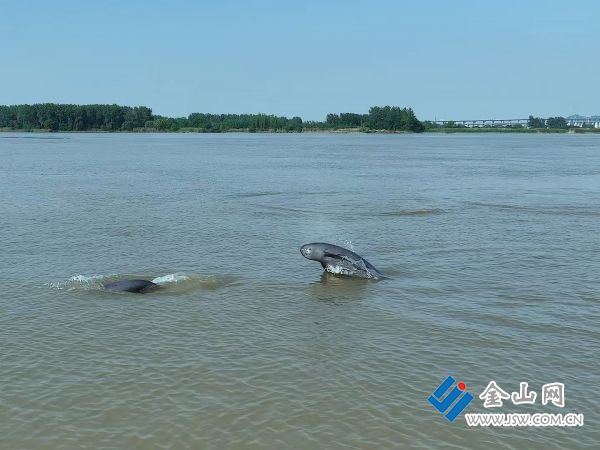 微信圖片_20260119105657_241_1464