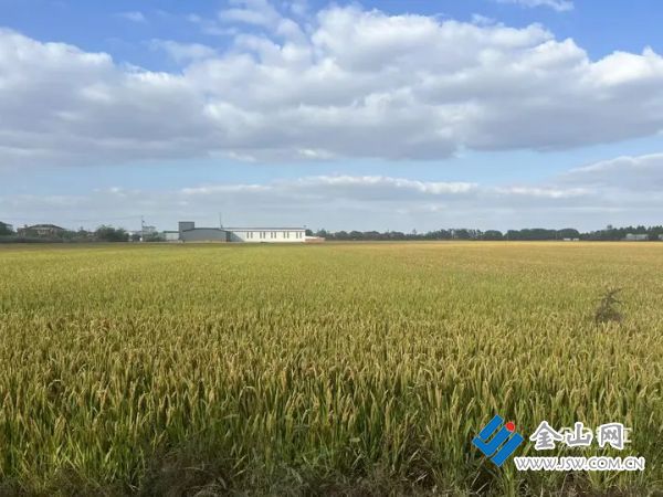 0135edb9ac31faa53da43fa7b7de13efe8.jpg@QSBJAdxW-KOODNPQ5YDB_jfJlGLEux1lYMpdBBqzkYQ@rs_fill_720_0@g_sm@q_75@