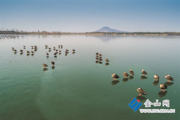 2026句容水利-句容鳥_s