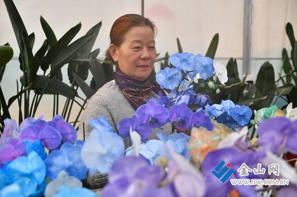 downLoad-20260203071102