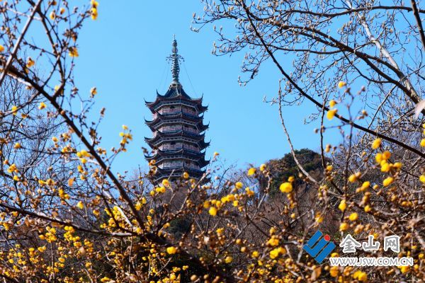 downLoad-20260204063235