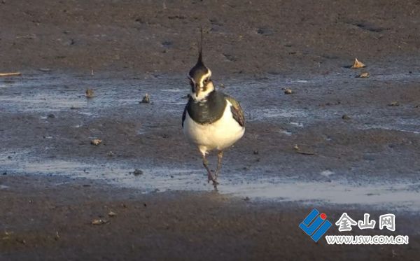 9a7fbc5b54344d96a2407fa2e1368775