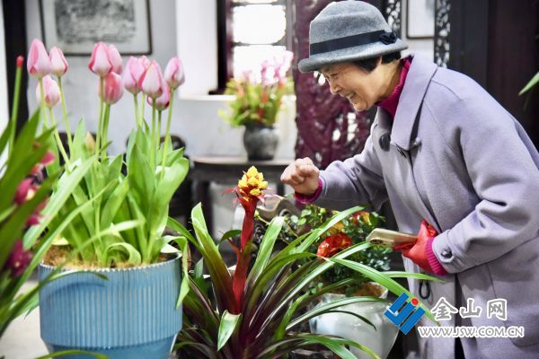 downLoad-20260208082723