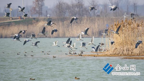 adf9948132154fa697ad3dfd5e15338d