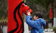 “氣氛組”上線 新春氛圍更濃