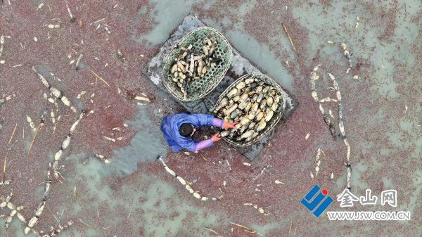 4de75461e6964e659707da5b7ba639dd