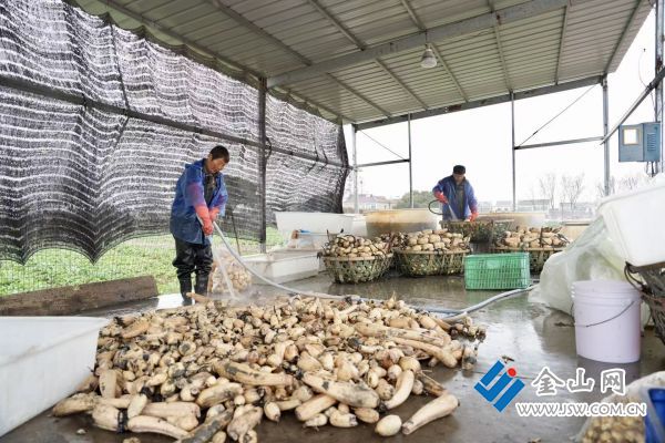 024c7912254c49aca39f61e8423c28b9