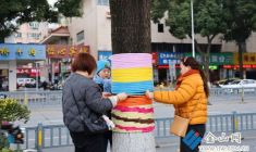 樹(shù)木穿“彩衣” 街頭添年味