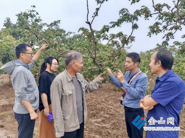 3a3bc0de88b243d8a8922d7b7a97036b