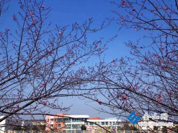 downLoad-20260224070805