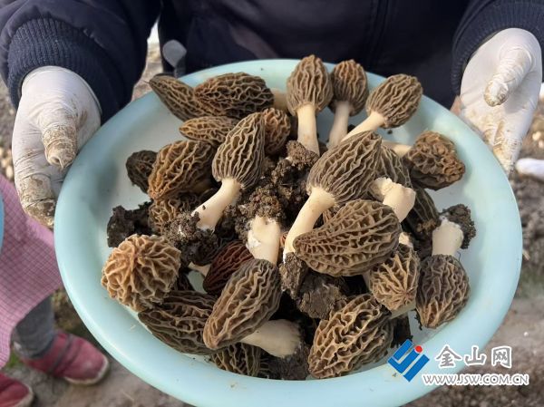 downLoad-20260224071446