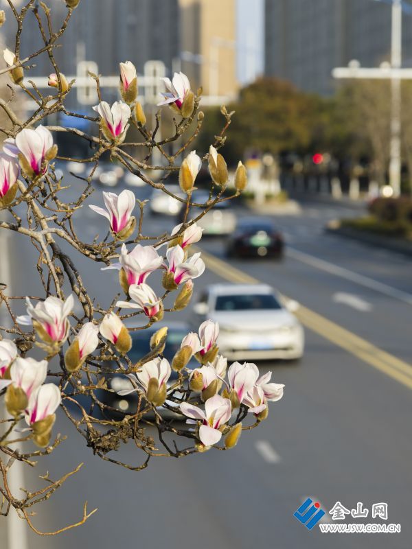 downLoad-20260225073121