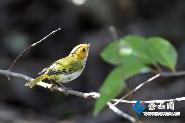 downLoad-20260225073234