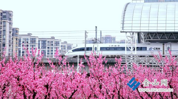 downLoad-20260226065905