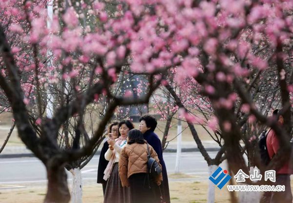 downLoad-20260302065141