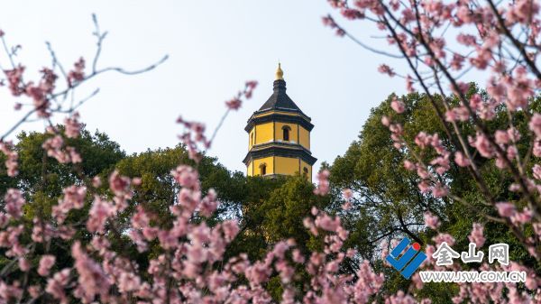 downLoad-20260302074148