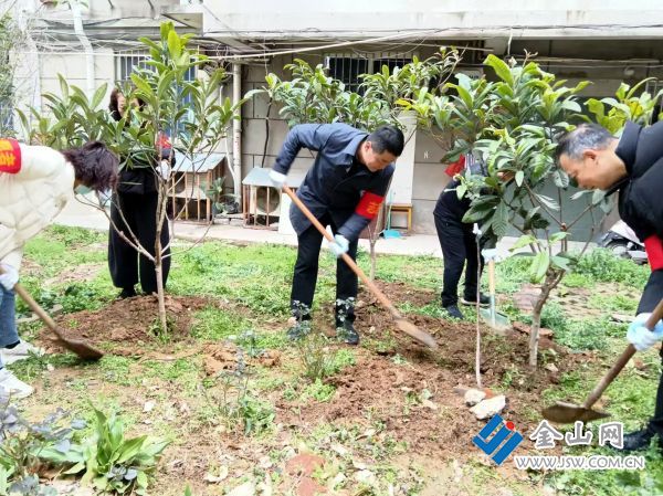 downLoad-20260306065645