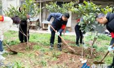 植綠護(hù)綠傳文明 廉潔自律守初心