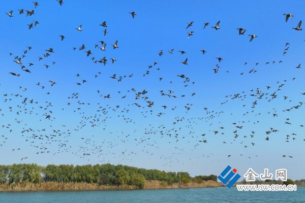 02a9c06fd48746bca2f5d2f16a7b7e73