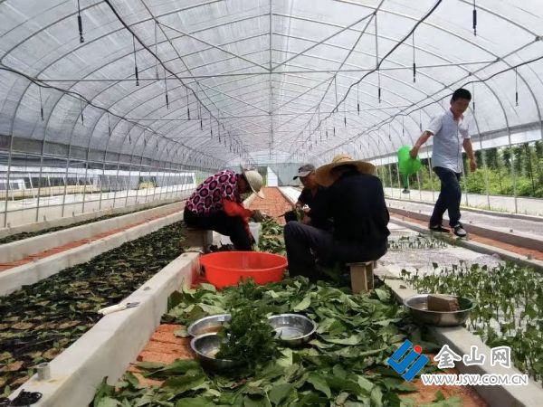 a7ddb886a9f648579979a03d265b4e31