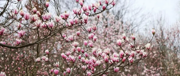 8a9e08582f474bd28d0f44d5d8ce5007