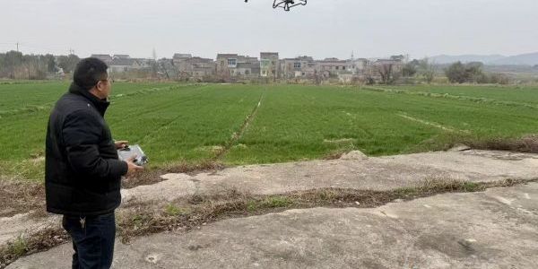 專家田間“把脈” 丹徒春耕春管忙