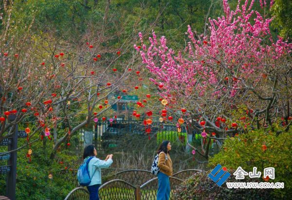 downLoad-20260311065825