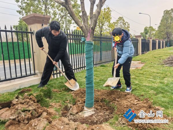 植樹節(jié)活動 (1)