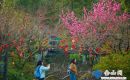 踏青賞花正當(dāng)時(shí)