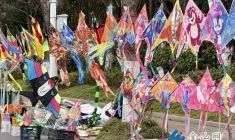 風(fēng)箏俏銷春意濃