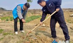 植樹造林護(hù)生態(tài) 全民反詐護(hù)錢財(cái)