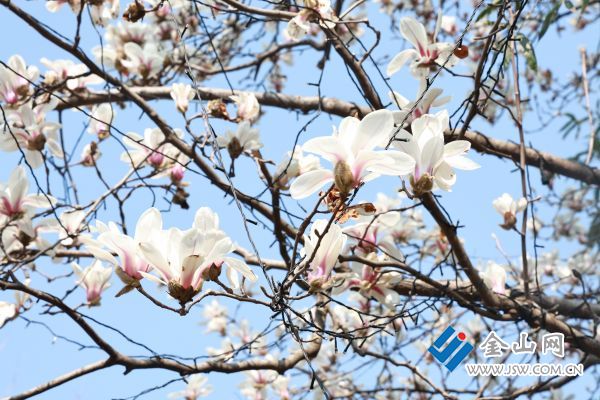 downLoad-20260312065542