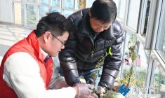 植此青綠 扮靚家園