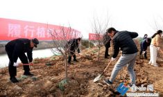 植樹添綠正當(dāng)時(shí)