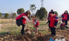 大手牽小手 植綠護(hù)綠一起走