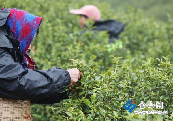 downLoad-20260316065007