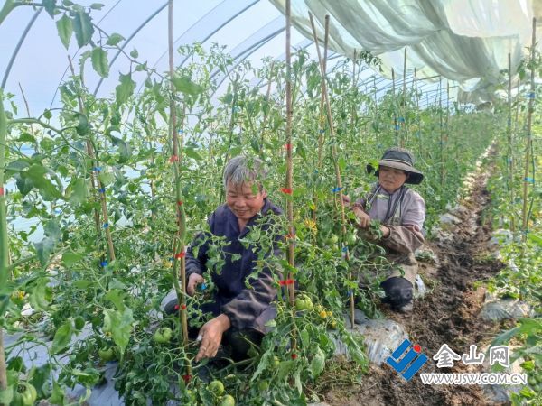 downLoad-20260316070559