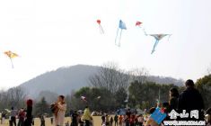 春到南山游人醉 賞花拍照放紙鳶