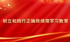 樹立和踐行正確政績觀學習教育