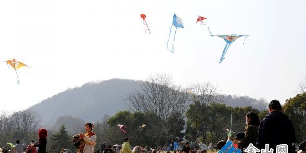 春到南山游人醉 賞花拍照放紙鳶