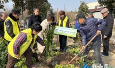 “天窗行動”幫扶希望小果園