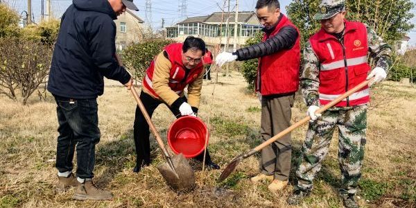 齊“新”協(xié)力共建和美鄉(xiāng)村