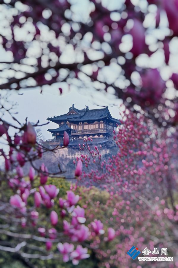 downLoad-20260318061126