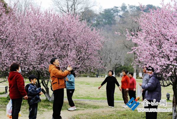 downLoad-20260318072615