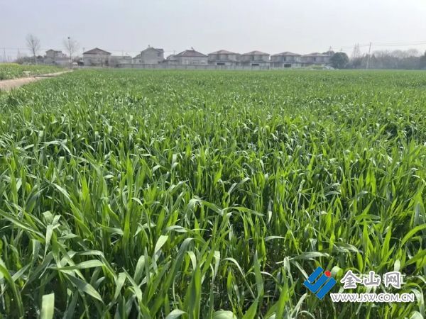 0192e6707cc08d8b2cae32471e418817b0.jpg@n-dLM2Mi2SNpG5lGPSLGQxjFA5rQJQHh7RwKZfq_12M@rs_fill_720_0@g_sm@q_75@