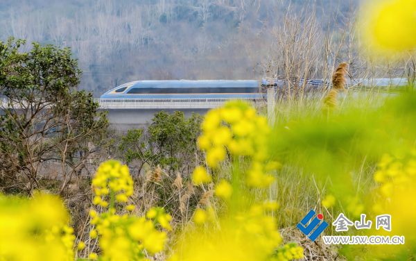 downLoad-20260319065002