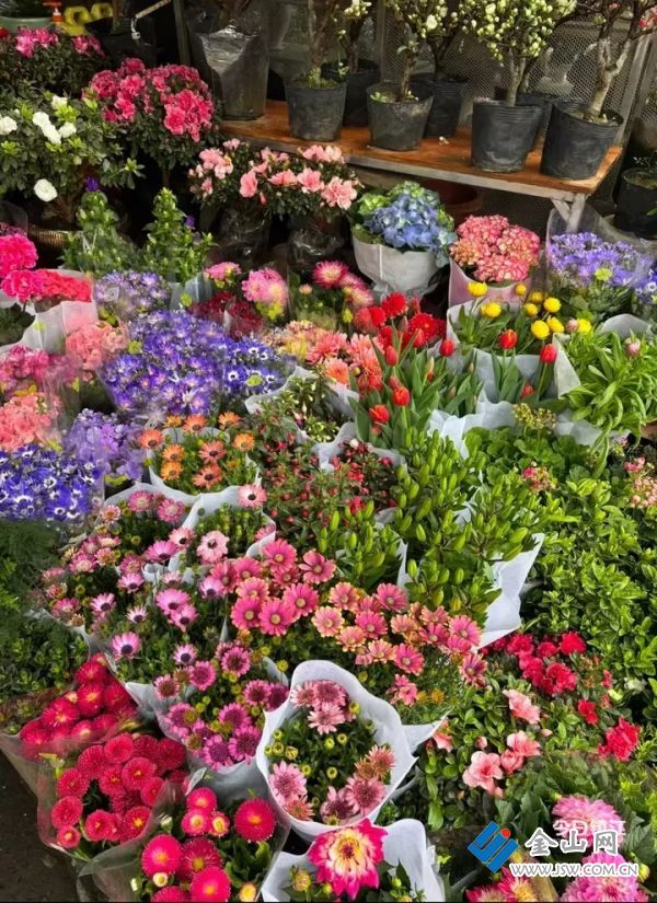 01a2e2cb573e501c0c9a49fbc2a2d56755.jpg@OCC1PSDCTNrDm0DORxqg8wHA60tblkLWyVrKSC9gNuk@rs_fill_720_0@g_sm@q_75@