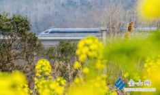 高鐵列車穿行鎮(zhèn)江春日山野